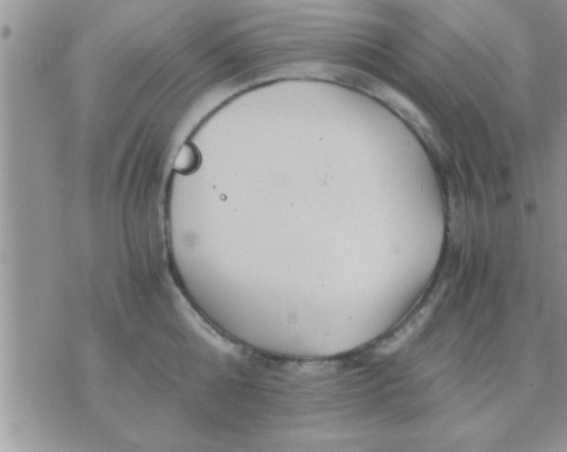 X0000071380808200607142109