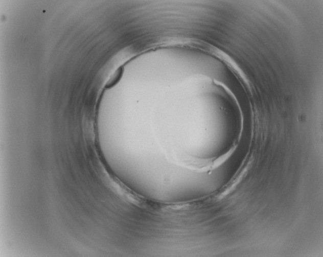 X0000071380810200607142109