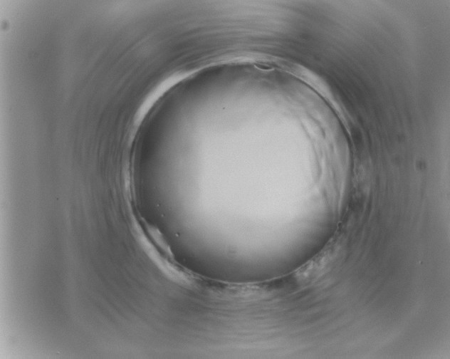 X0000071380811200607142109