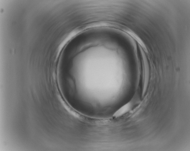 X0000071380813200607142109