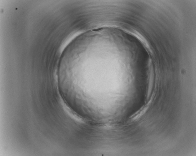 X0000071380814200607142109