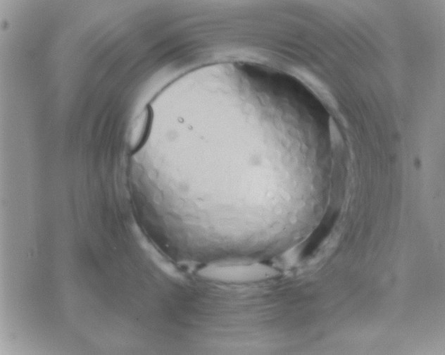 X0000071380816200607142109