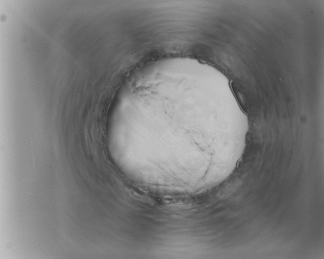 X0000071380817200607142108