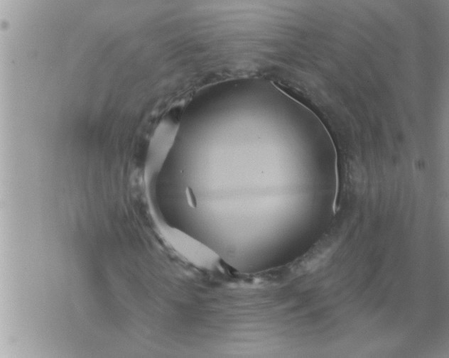 X0000071380818200607142108