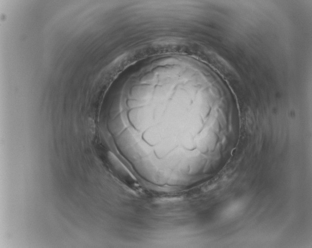 X0000071380821200607142108