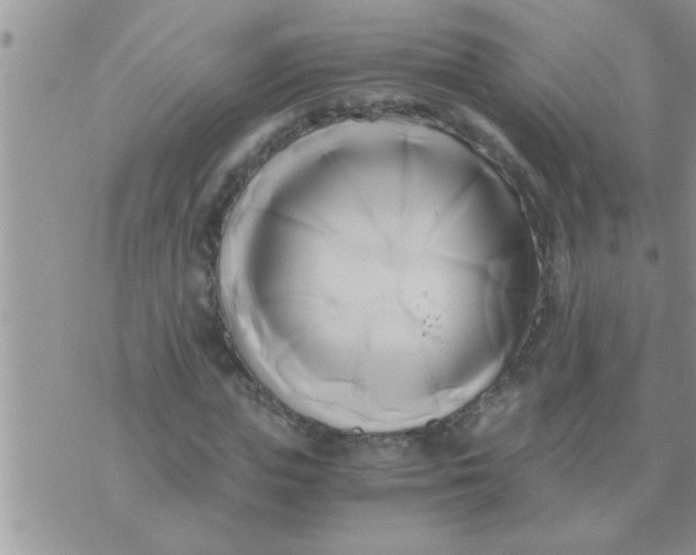 X0000071380823200607142108