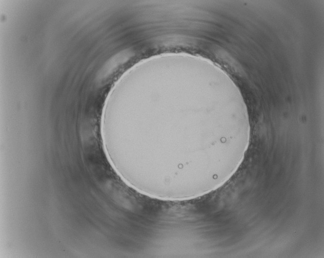 X0000071380824200607142108