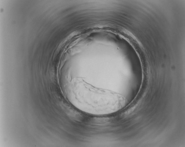 X0000071380825200607142108