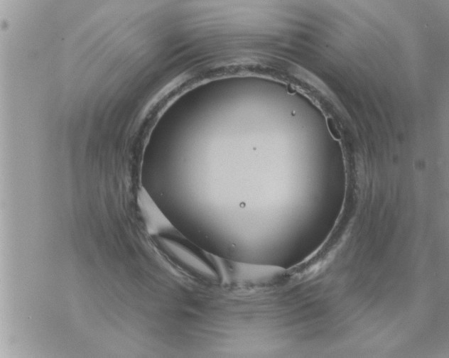 X0000071380826200607142108