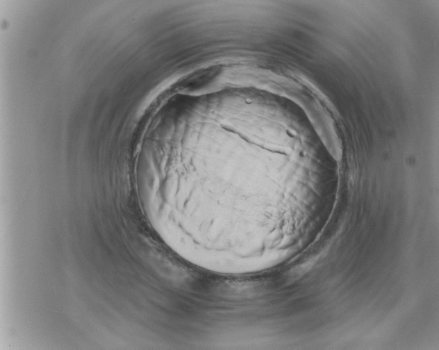 X0000071380829200607142108