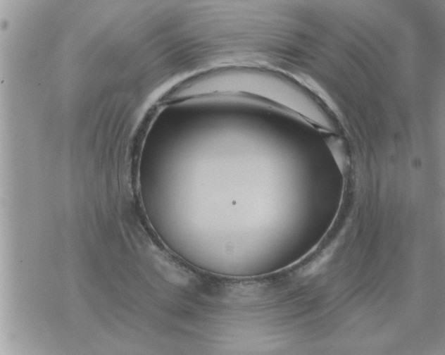 X0000071380830200607142108