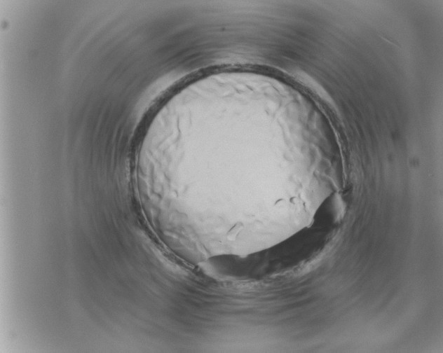 X0000071380831200607142108