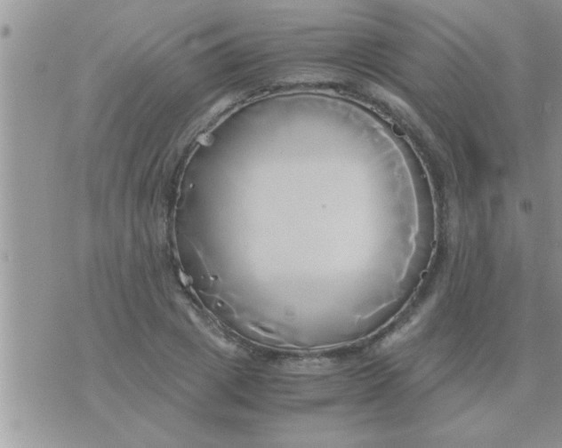 X0000071380833200607142108