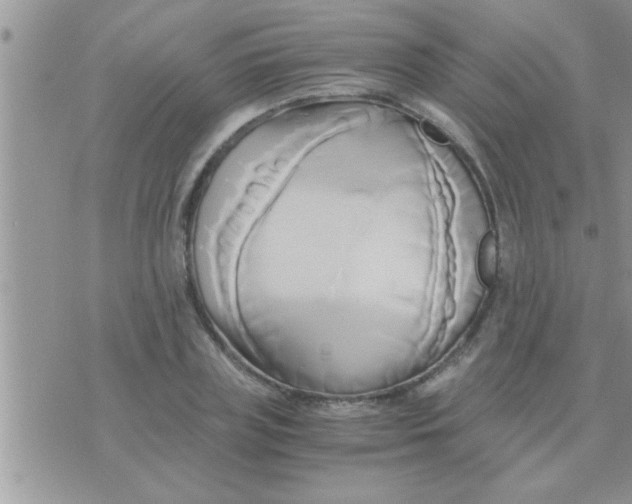 X0000071380835200607142108