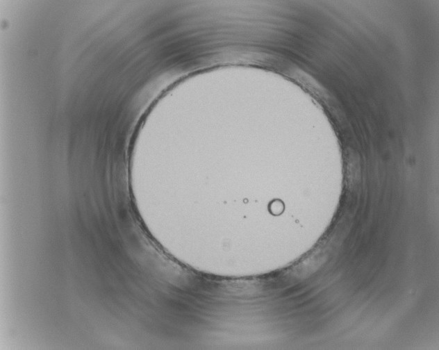 X0000071380836200607142108