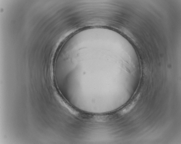 X0000071380840200607142108