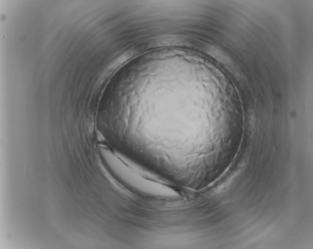 X0000071380841200607142108