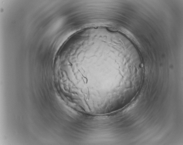 X0000071380844200607142108