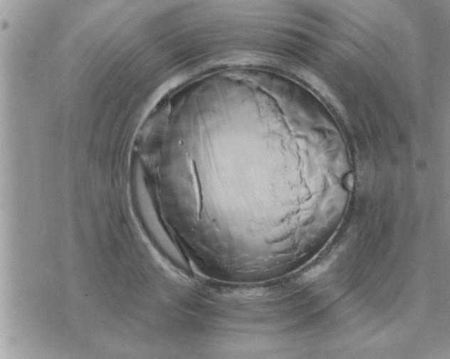 X0000071380845200607142108