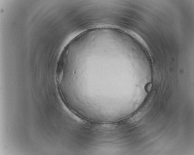 X0000071380847200607142108