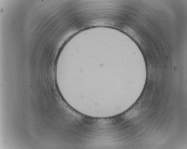 X0000071380848200607142108