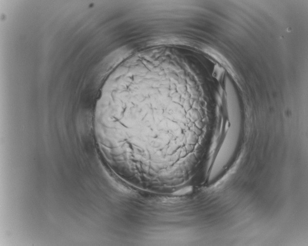 X0000071380849200607142108