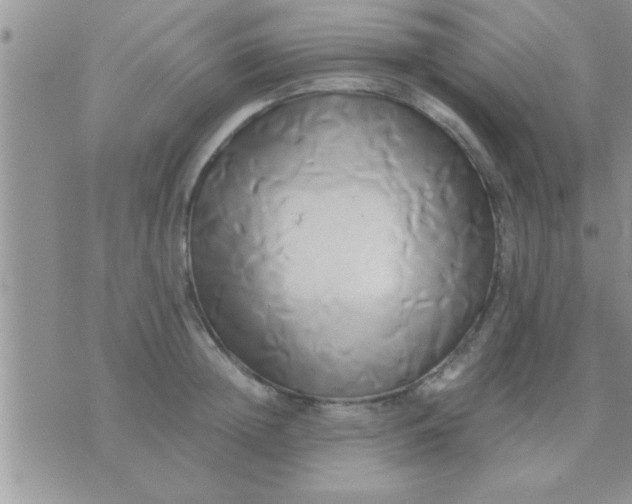 X0000071380852200607142108