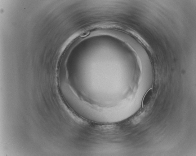 X0000071380853200607142109