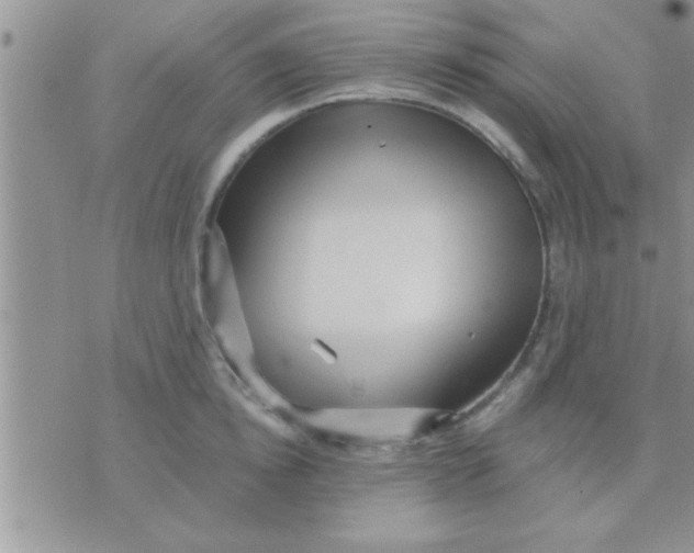 X0000071380854200607142109