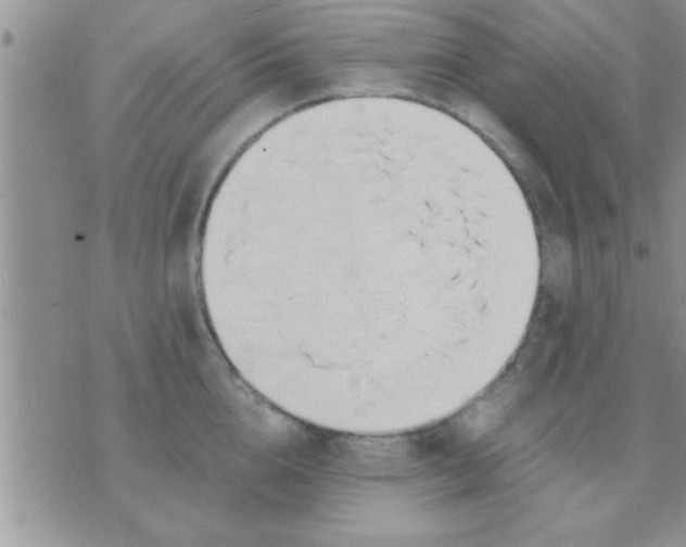 X0000071380856200607142109