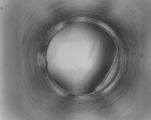 X0000071380857200607142109