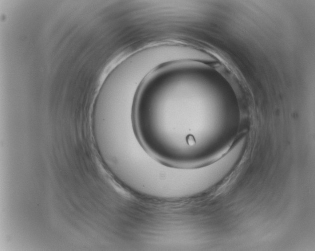 X0000071380858200607142109