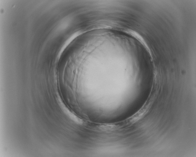 X0000071380859200607142109