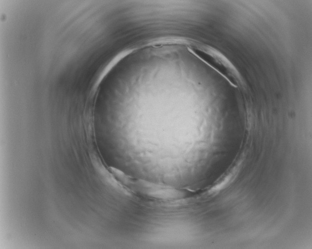 X0000071380860200607142109