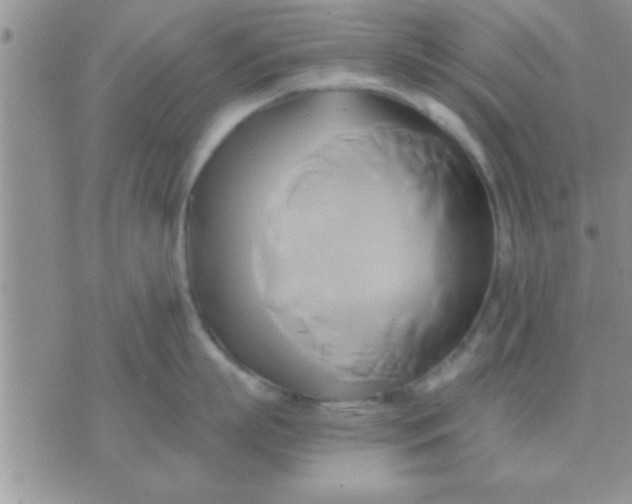 X0000071380863200607142109