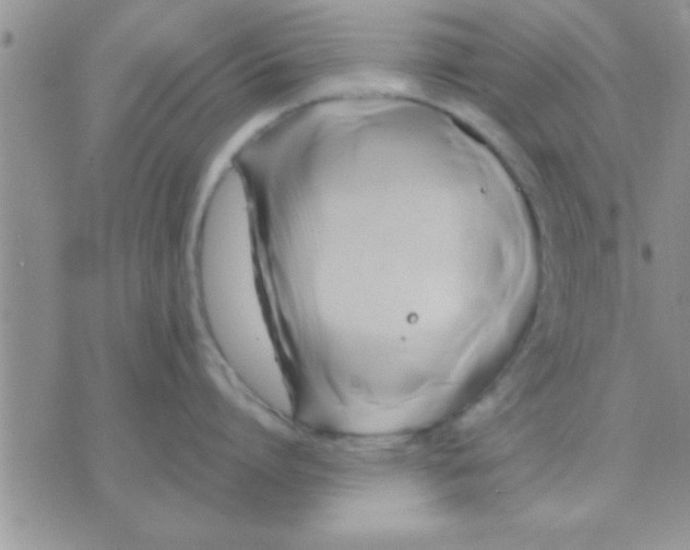 X0000071380864200607142109