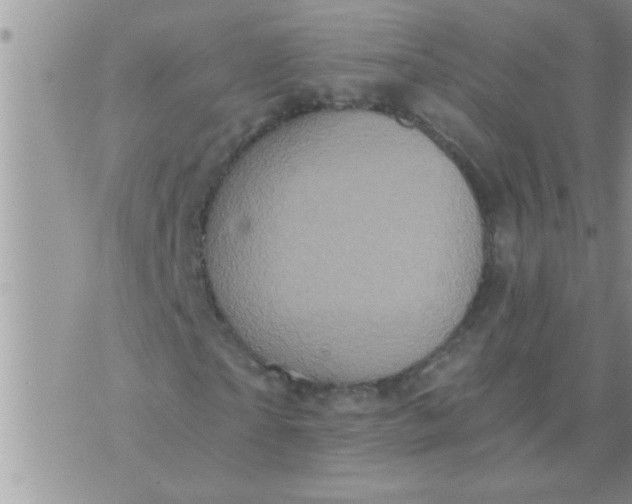 X0000071380865200607142108