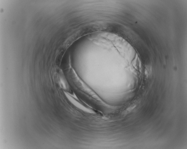 X0000071380867200607142108