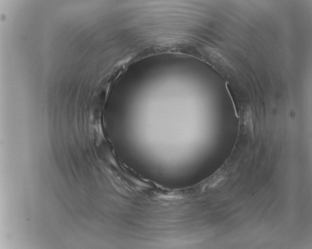 X0000071380868200607142108