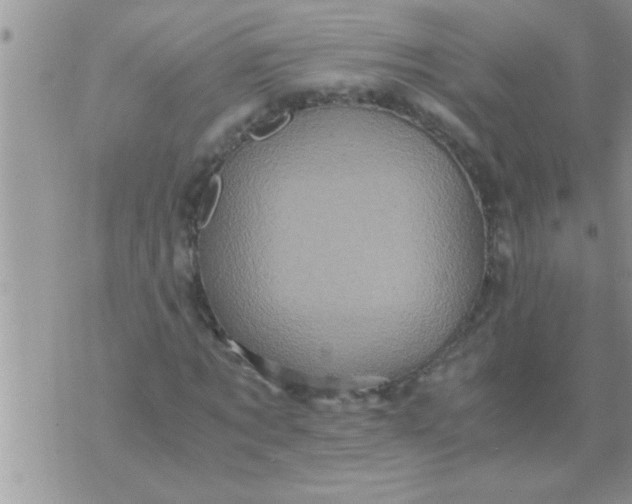 X0000071380869200607142108