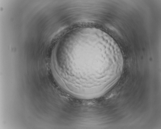 X0000071380870200607142108