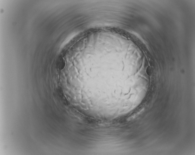 X0000071380871200607142108