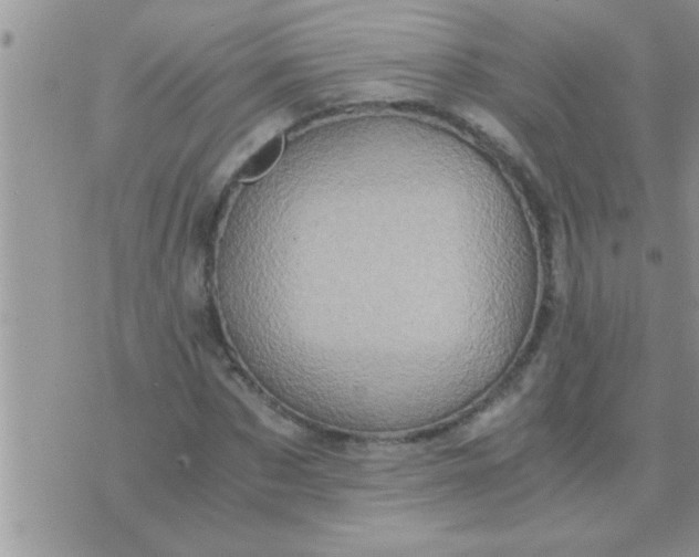 X0000071380873200607142108