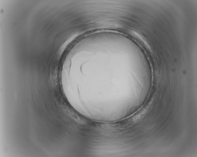 X0000071380875200607142108