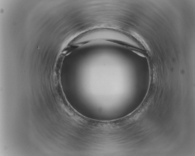 X0000071380876200607142108