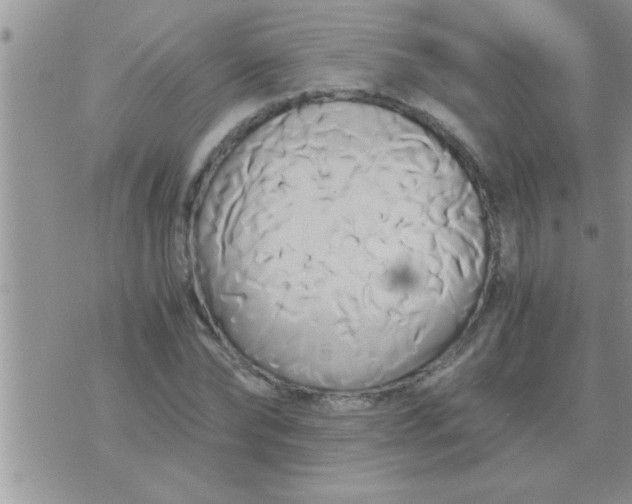 X0000071380878200607142108