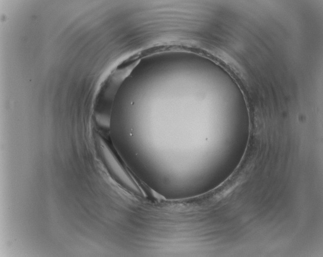 X0000071380880200607142108