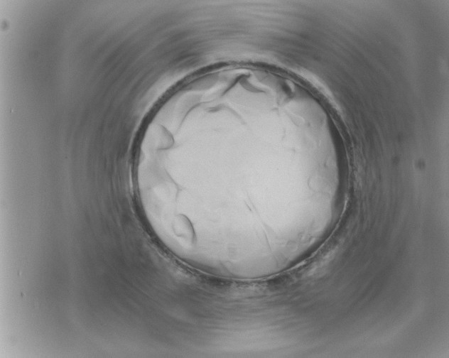 X0000071380887200607142108