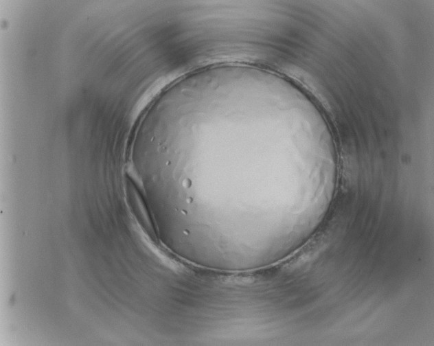 X0000071380890200607142108