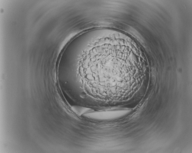 X0000071380891200607142107